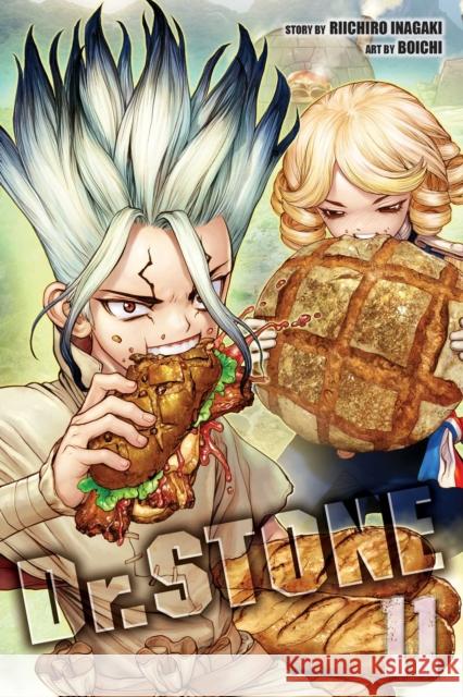 Dr. STONE, Vol. 11: First Contact Riichiro Inagaki 9781974714797 Viz Media, Subs. of Shogakukan Inc