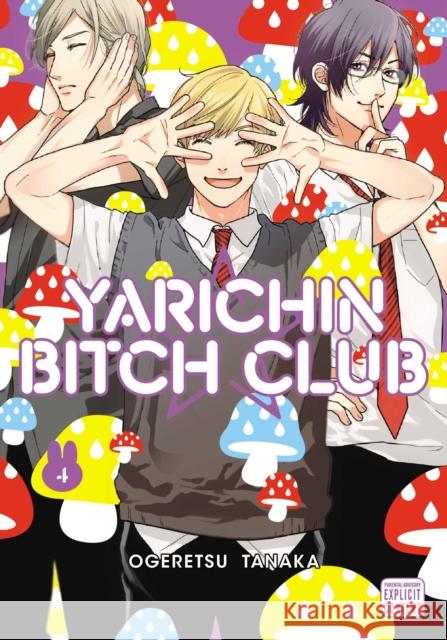 Yarichin Bitch Club, Vol. 4 Ogeretsu Tanaka 9781974715411 Viz Media, Subs. of Shogakukan Inc