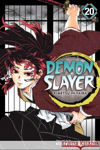 Demon Slayer: Kimetsu no Yaiba, Vol. 20 Koyoharu Gotouge 9781974720972 Viz Media, Subs. of Shogakukan Inc