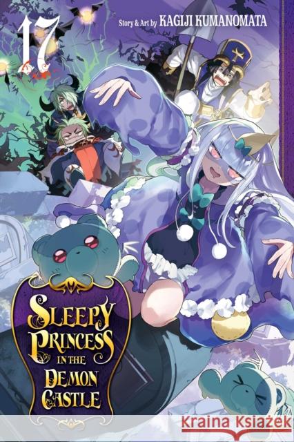 Sleepy Princess in the Demon Castle, Vol. 17 Kagiji Kumanomata 9781974725397 Viz Media, Subs. of Shogakukan Inc