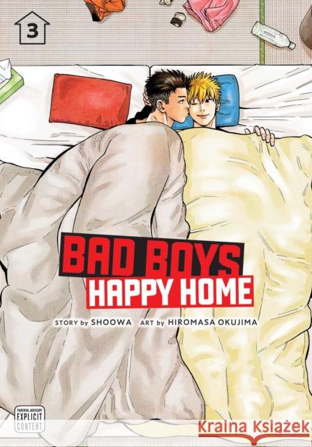 Bad Boys, Happy Home, Vol. 3 Shoowa                                   Hiromasa Okujima 9781974725892 Viz Media, Subs. of Shogakukan Inc