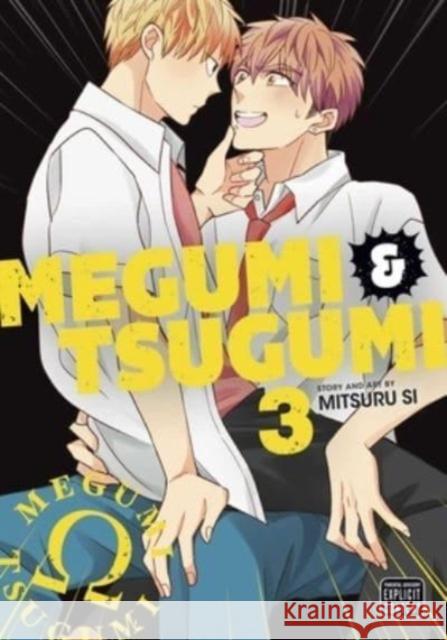 Megumi & Tsugumi, Vol. 3 Si, Mitsuru 9781974738892 Viz Media, Subs. of Shogakukan Inc