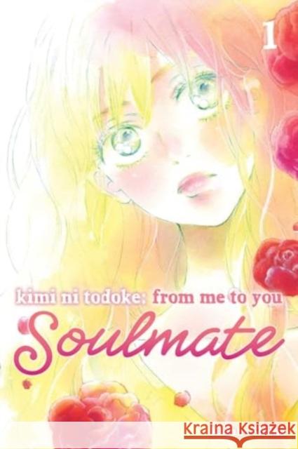 Kimi ni Todoke: From Me to You: Soulmate, Vol. 1 Karuho Shiina 9781974743742 VIZ Media LLC