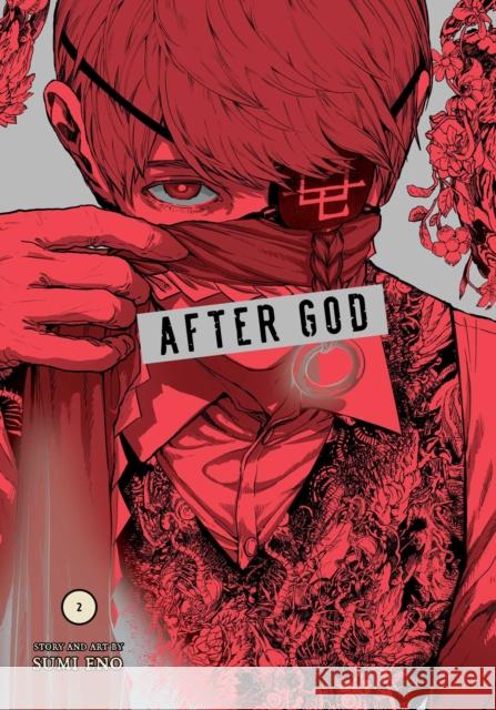 After God, Vol. 2 Eno, Sumi 9781974751464 Viz Media