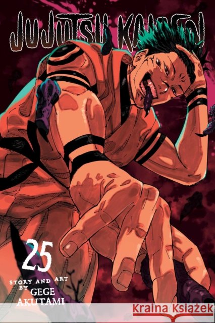 Jujutsu Kaisen, Vol. 25 Gege Akutami 9781974751884 Viz Media