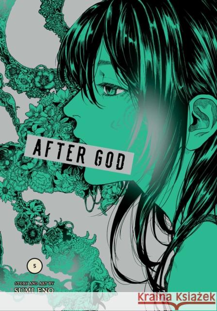 After God, Vol. 5 Eno, Sumi 9781974755240 Viz Media