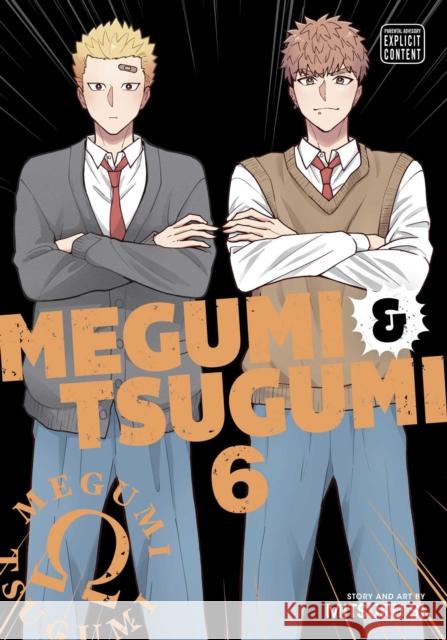 Megumi & Tsugumi, Vol. 6 Si, Mitsuru 9781974755509 Sublime