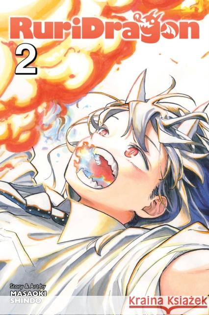 RuriDragon, Vol. 2 Masaoki Shindo 9781974756063 Viz Media