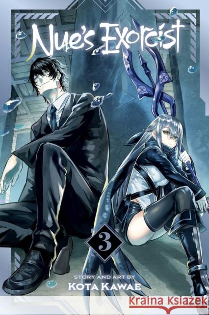 Nue's Exorcist, Vol. 3 Kota Kawae 9781974758951 Viz Media