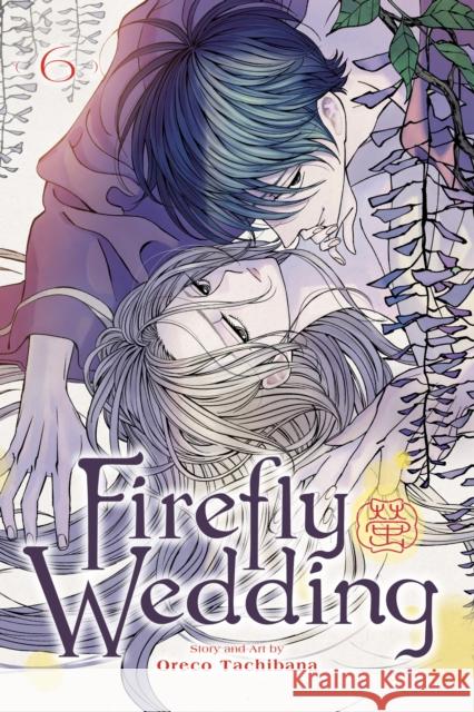 Firefly Wedding, Vol. 6 Tachibana, Oreco 9781974761432 Viz Media