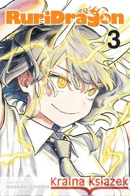 RuriDragon, Vol. 3 Masaoki Shindo 9781974762293 Viz Media