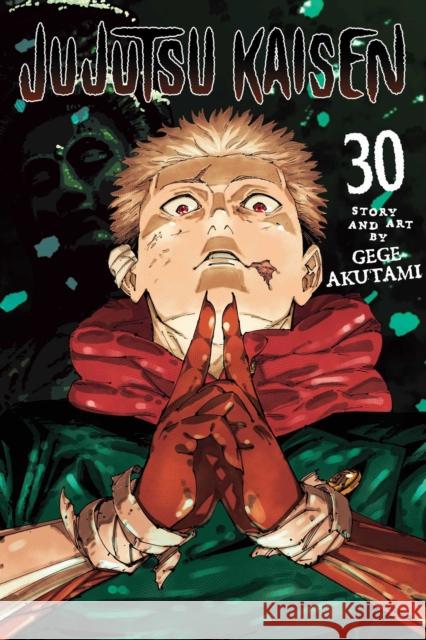 Jujutsu Kaisen, Vol. 30 Gege Akutami 9781974763405 Viz Media, Subs. of Shogakukan Inc