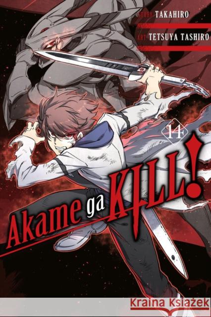 Akame Ga Kill!, Vol. 14 Takahiro                                 Tetsuya Tashiro 9781975300418