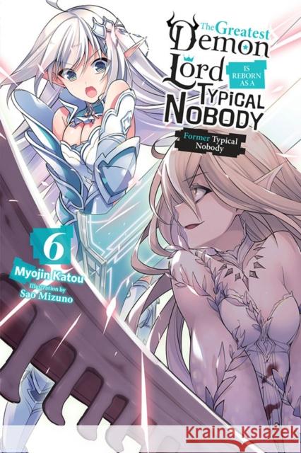 The Greatest Demon Lord Is Reborn as a Typical Nobody, Vol. 6 (light novel) Myojin Katou 9781975316501 Little, Brown & Company