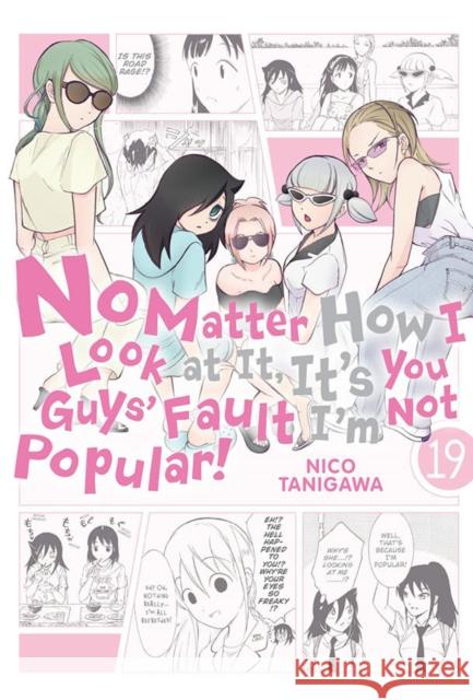 No Matter How I Look at It, It's You Guys' Fault I'm Not Popular!, Vol. 19 Nico Tanigawa 9781975340742