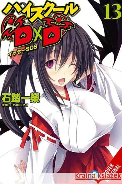High School DxD, Vol. 13 (light novel)  9781975350406 Yen on