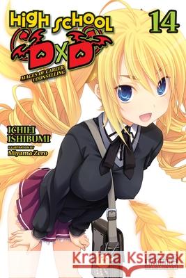 High School DxD, Vol. 14 (light novel) Ichiei Ishibumi 9781975350420 Yen on