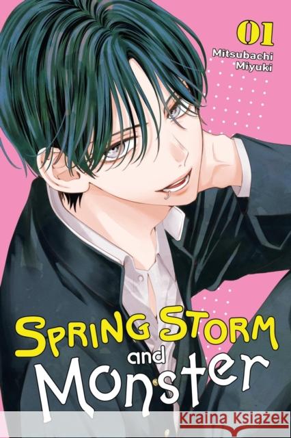 Spring Storm and Monster, Vol. 1 Mitsubachi Miyuki 9781975379964 Yen Press