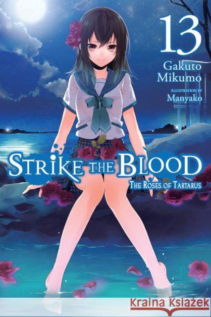 Strike the Blood, Vol. 13 (light novel) Gakuto Mikumo 9781975384838 Yen on