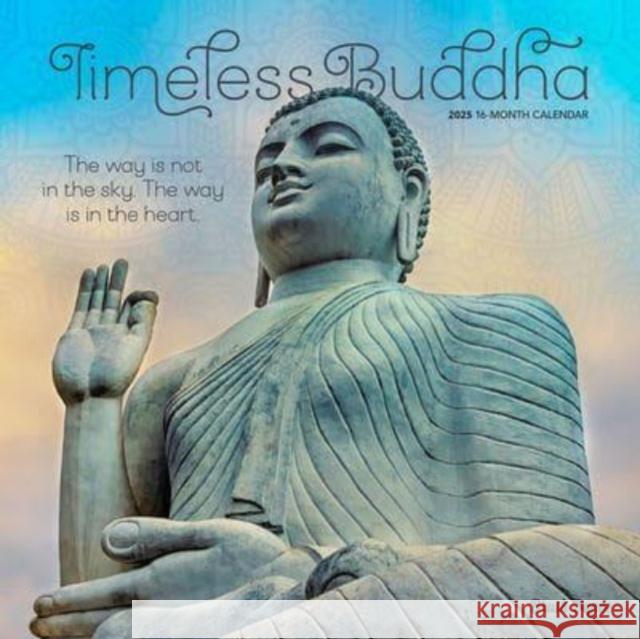 Timeless Buddha 2025 12 X 24 Inch Monthly Square Wall Calendar Plastic-Free Brush Dance 9781975478674
