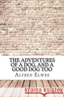The Adventures of a Dog, and a Good Dog Too Alfred Elwes 9781975878849