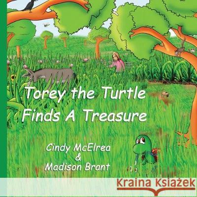 Torey The Turtle Finds A Treasure Brant, Madison 9781975881894 Createspace Independent Publishing Platform