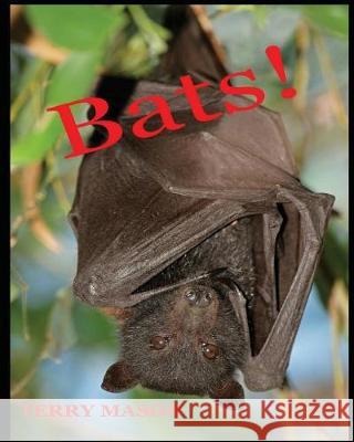 Bats: Learn About These Strange and Wonderful Creatures of the Night Mason, Terry 9781975917555 Createspace Independent Publishing Platform