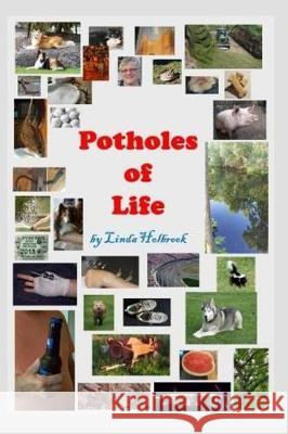 Potholes of Life Linda M. Holbrook 9781976137051 Createspace Independent Publishing Platform