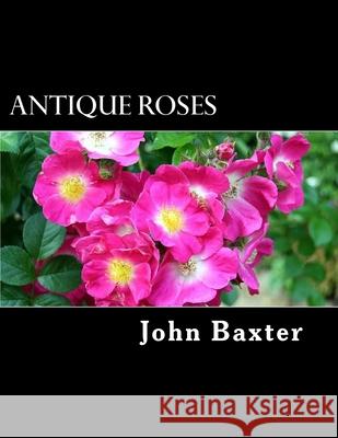 Antique Roses John Baxter 9781976138232 Createspace Independent Publishing Platform