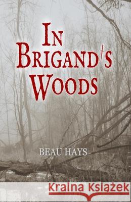 In Brigand's Woods Beau Hays 9781976237058