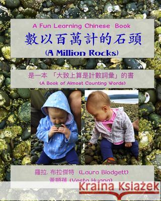 A Million Rocks (in Chinese): A Book of Almost Counting Words Laura Blodgett Vesta Huang 9781976362002