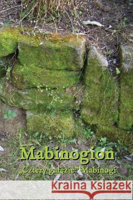 Mabinogion: 