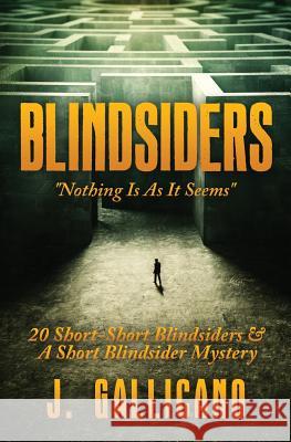 Blindsiders: Nothing Is As it Seems Fontana, James 9781976514043 Createspace Independent Publishing Platform