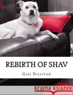 Rebirth of Shav Gail Sullivan 9781976527838