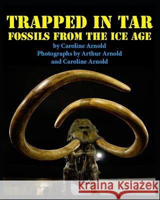 Trapped in Tar: Fossils from the Ice Age Arthur Arnold Caroline Arnold Caroline Arnold 9781976862991