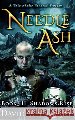 Needle Ash Book 3: Shadows Rise Brad Lynn David V. Stewart 9781976903137