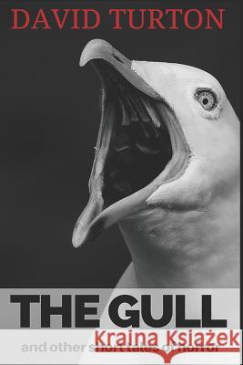 The Gull: And Other Short Tales of Horror David Turton 9781976910449