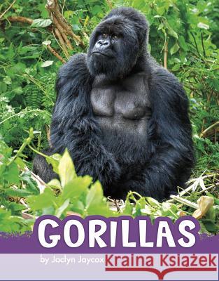 Gorillas Jaclyn Jaycox 9781977117953 Pebble Books