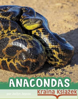 Anacondas Jaclyn Jaycox 9781977125477 Pebble Books