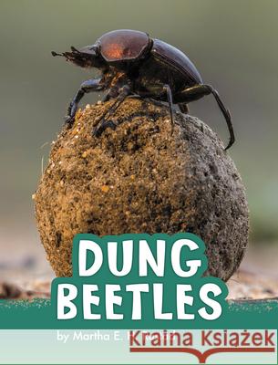 Dung Beetles Martha Elizabeth Hillman Rustad 9781977126498 Pebble Books