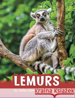 Lemurs Jaclyn Jaycox 9781977126504 Pebble Books
