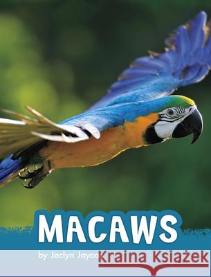 Macaws Jaclyn Jaycox 9781977131973 Pebble Books