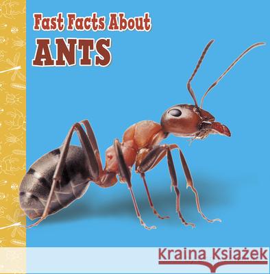 Fast Facts about Ants Lisa J. Amstutz 9781977132635