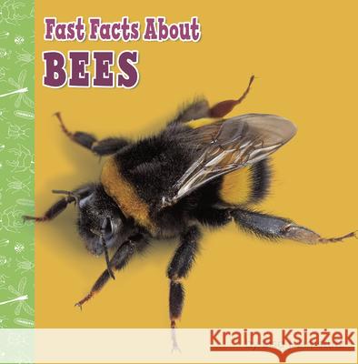 Fast Facts about Bees Lisa J. Amstutz 9781977132642 Pebble Books