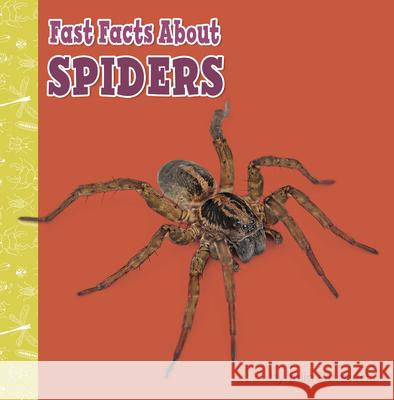 Fast Facts about Spiders Julia Garstecki 9781977132703 Pebble Books