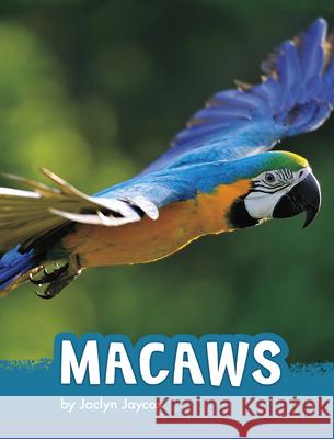 Macaws Jaclyn Jaycox 9781977132994