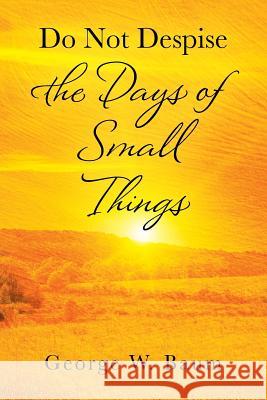Do Not Despise the Days of Small Things George W Baum 9781977207258 Outskirts Press