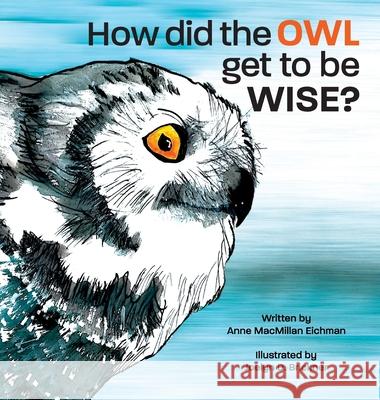 How Did the Owl Get to Be Wise Anne MacMillan Eichman 9781977228437 Outskirts Press