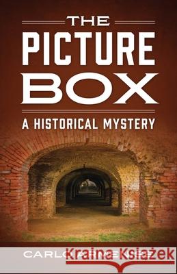 The Picture Box: A Historical Mystery Carlo Armenise 9781977244352 Outskirts Press