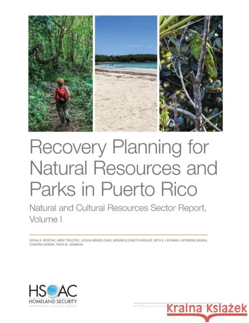 Recovery Planning for Natural Resources and Parks in Puerto Rico: Natural and Cultural Resources Sector Report, Volume 1 Resetar, Susan A. 9781977405104 RAND Corporation